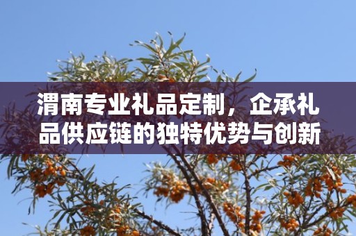 渭南专业礼品定制，企承礼品供应链的独特优势与创新服务