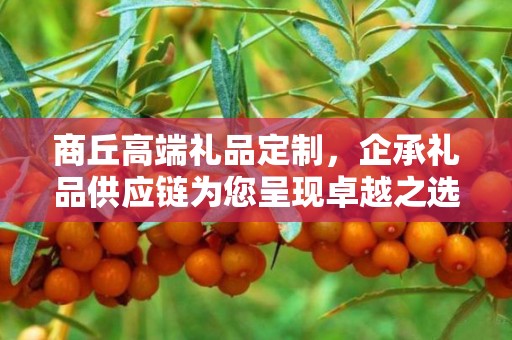 商丘高端礼品定制，企承礼品供应链为您呈现卓越之选
