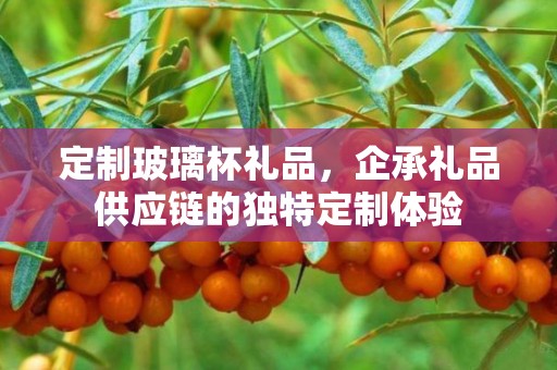 定制玻璃杯礼品，企承礼品供应链的独特定制体验