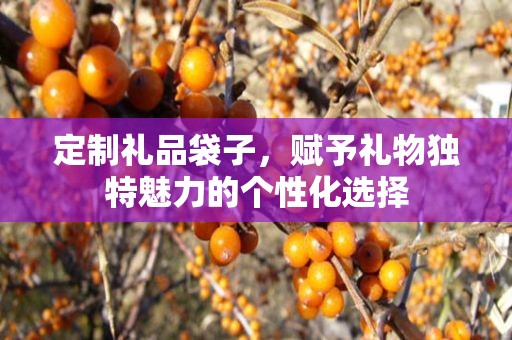 定制礼品袋子，赋予礼物独特魅力的个性化选择